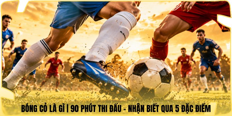 Bóng Cỏ Là Gì | 90 Phút Thi Đấu - Nhận Biết Qua 5 Đặc Điểm