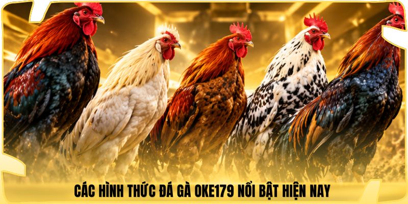 Các hình thức đá gà Oke179 nổi bật hiện nay