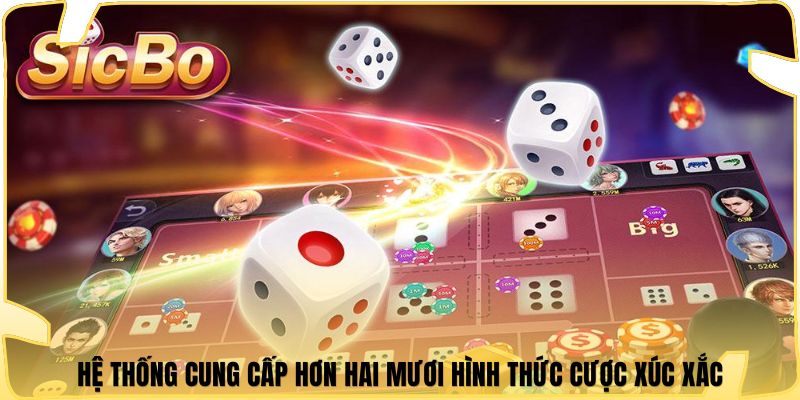 Hệ thống cung cấp hơn hai mươi hình thức cược xúc xắc