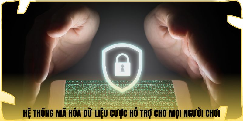 Hệ thống mã hóa dữ liệu cược hỗ trợ cho mọi người chơi