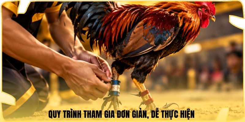 Quy trình tham gia đơn giản, dễ thực hiện
