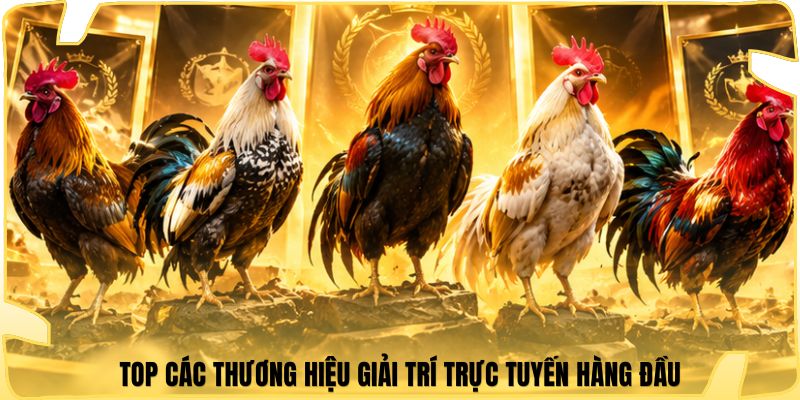 Top các thương hiệu giải trí trực tuyến hàng đầu